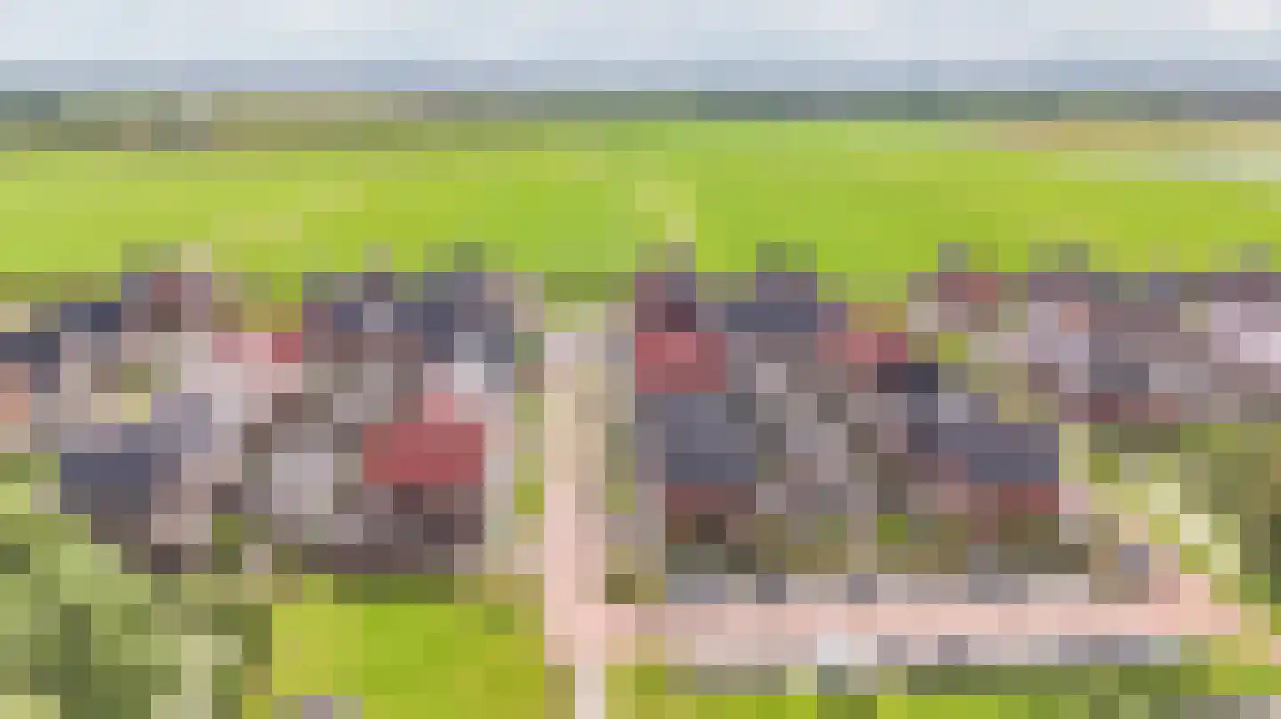 Weijland 15 Spierdijk thumbnail 45