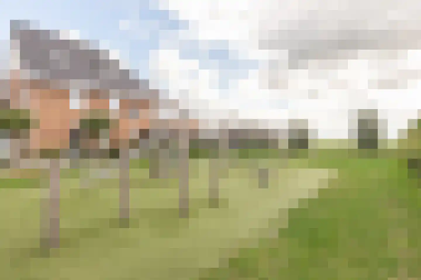 Weijland 15 Spierdijk thumbnail 47