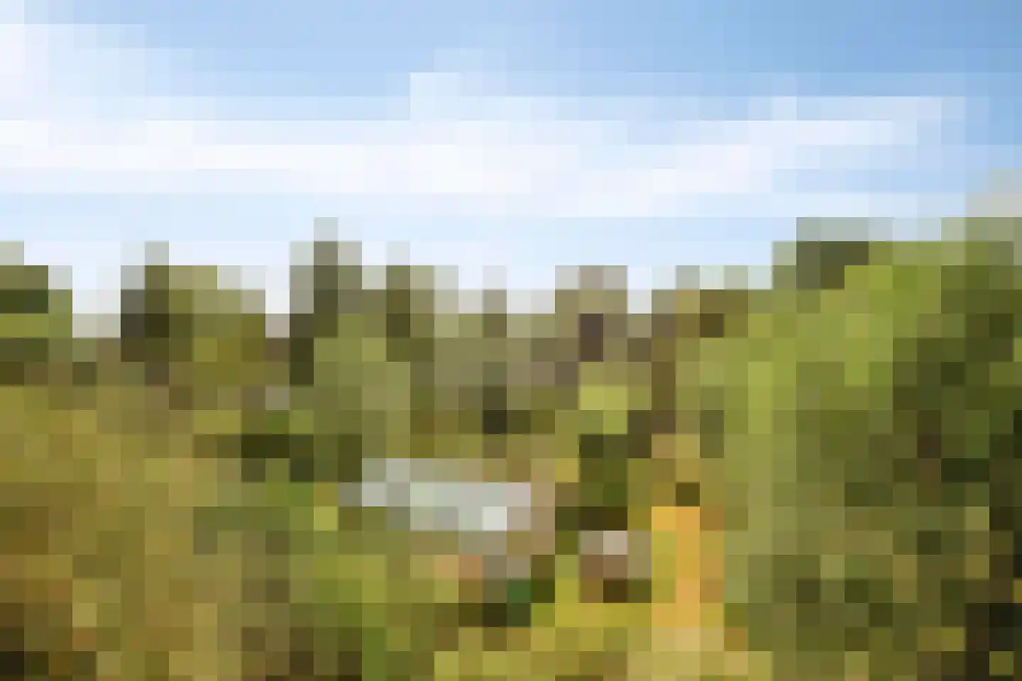 Weijland 34 Nieuwerbrug aan den Rijn thumbnail 58