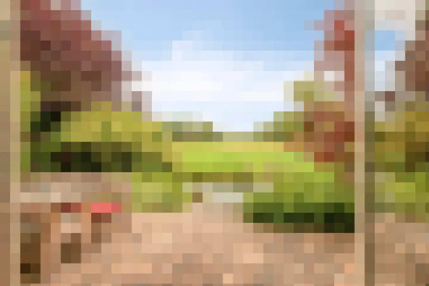 Weijland 34 Nieuwerbrug aan den Rijn thumbnail 6