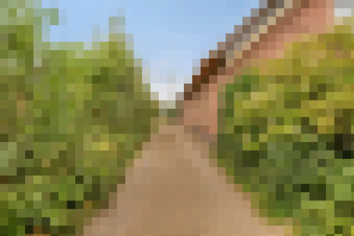 Weijland 34 Nieuwerbrug aan den Rijn thumbnail 60