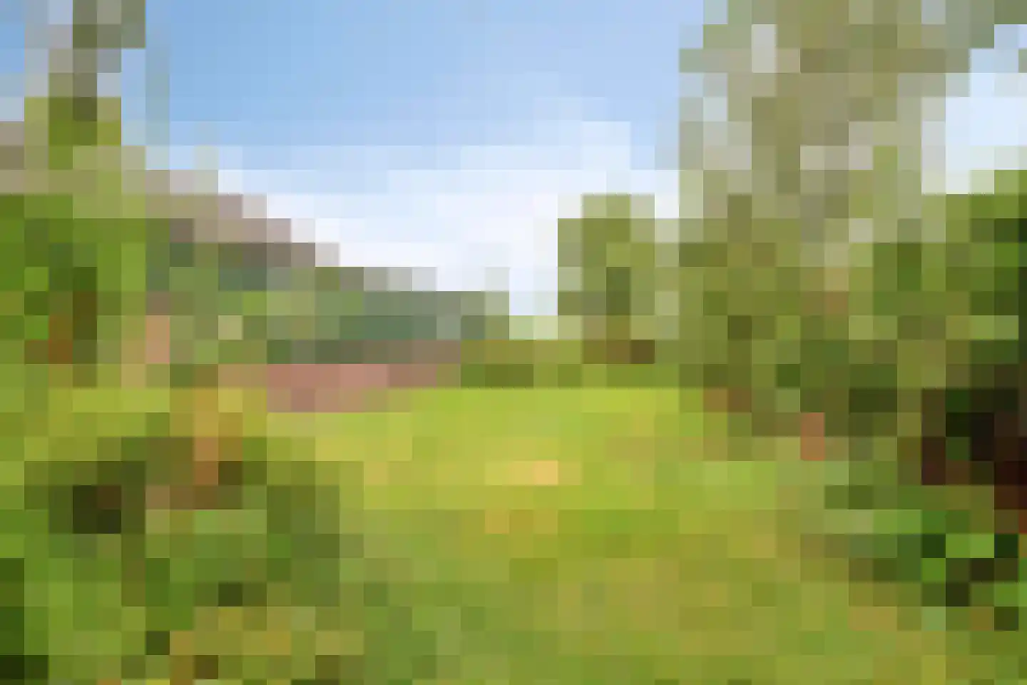 Weijland 34 Nieuwerbrug aan den Rijn thumbnail 63