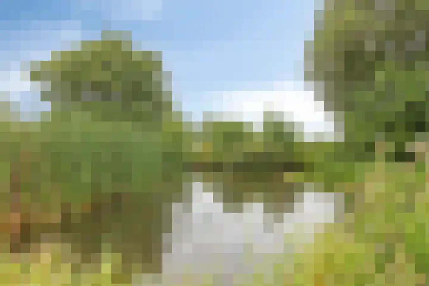 Weijland 34 Nieuwerbrug aan den Rijn thumbnail 67