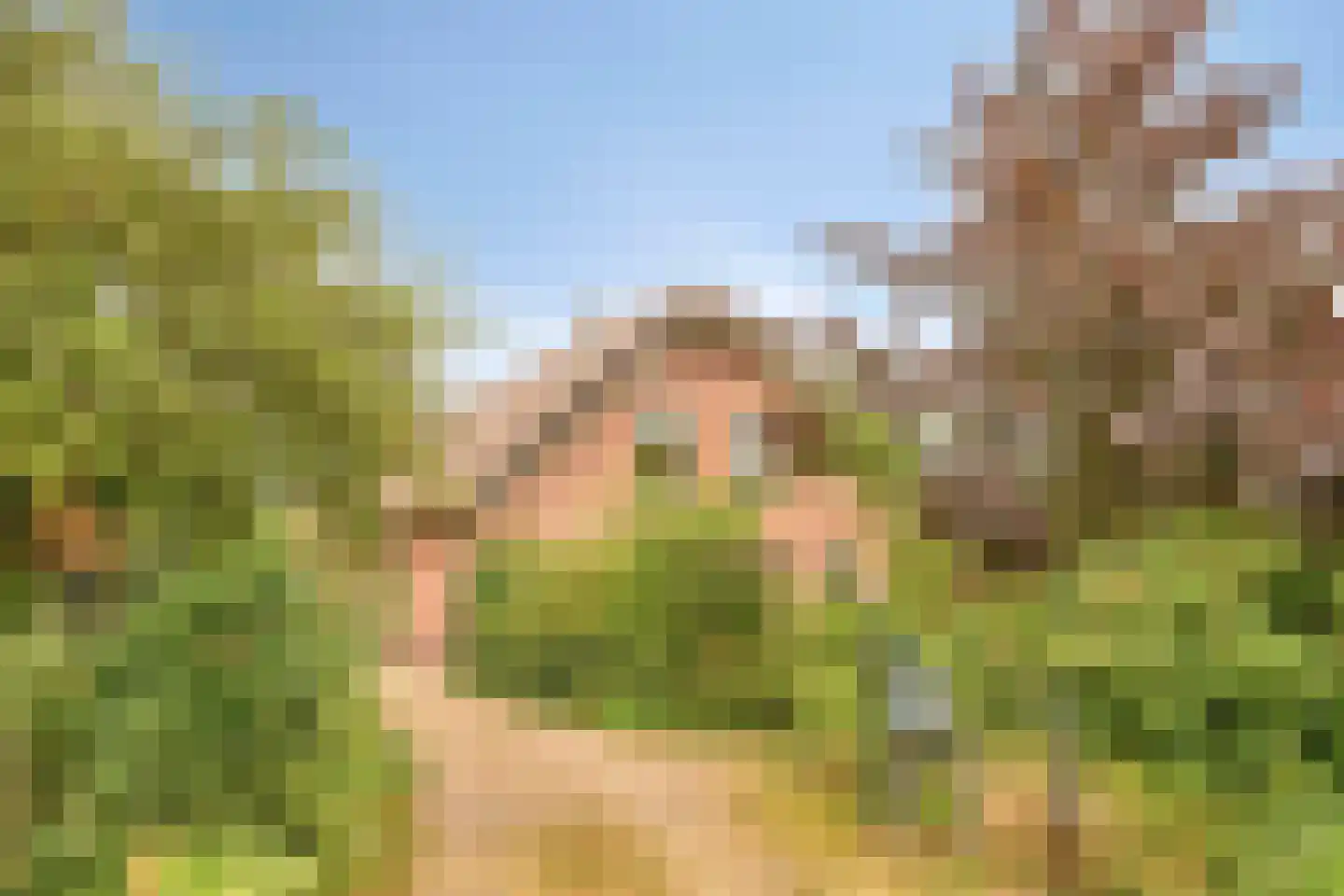 Weijland 34 Nieuwerbrug aan den Rijn thumbnail 69