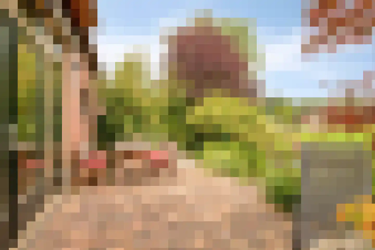 Weijland 34 Nieuwerbrug aan den Rijn thumbnail 8