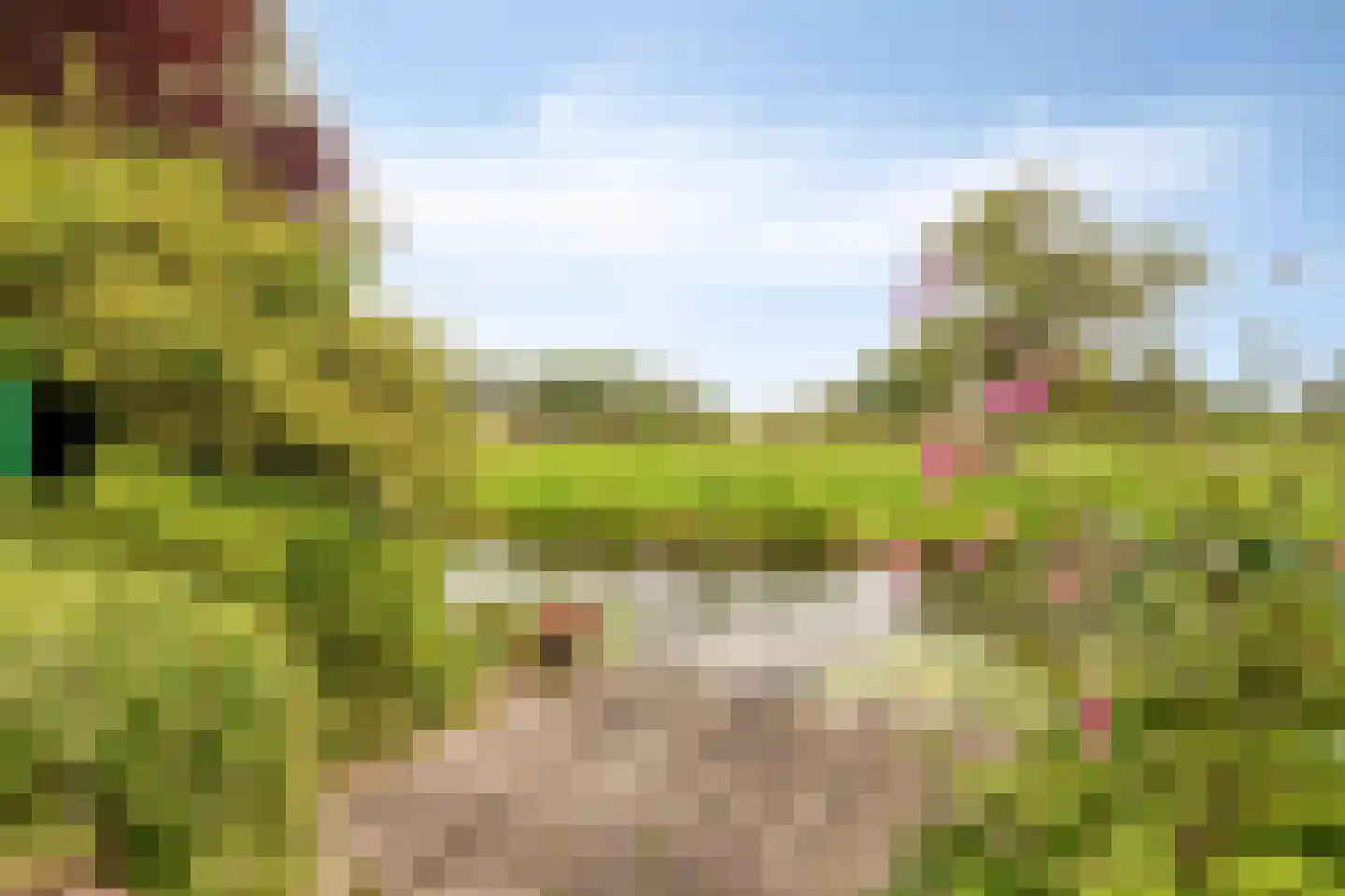 Weijland 34 Nieuwerbrug aan den Rijn thumbnail 9