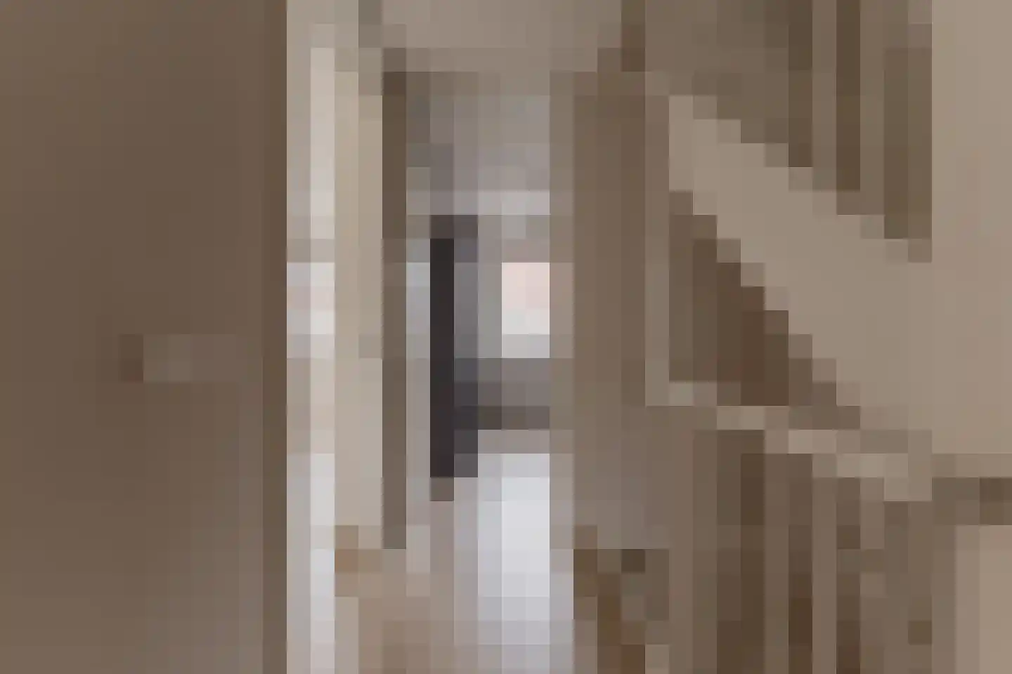 Weijland 4 Spierdijk thumbnail 33