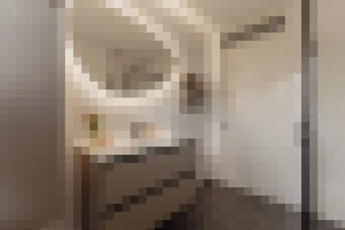 Weijland 4 Spierdijk thumbnail 43