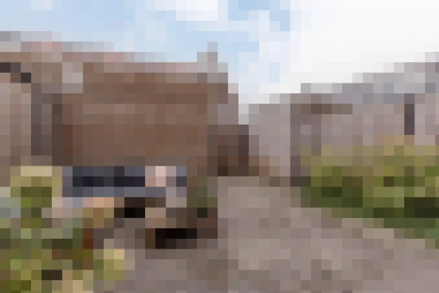 Weijland 4 Spierdijk thumbnail 52