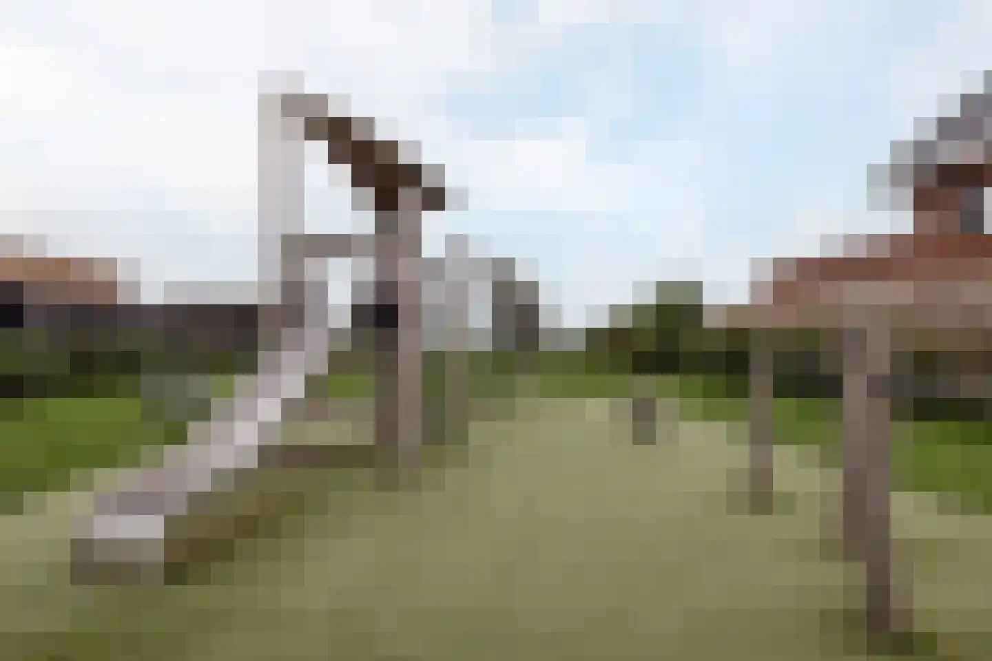 Weijland 4 Spierdijk thumbnail 60