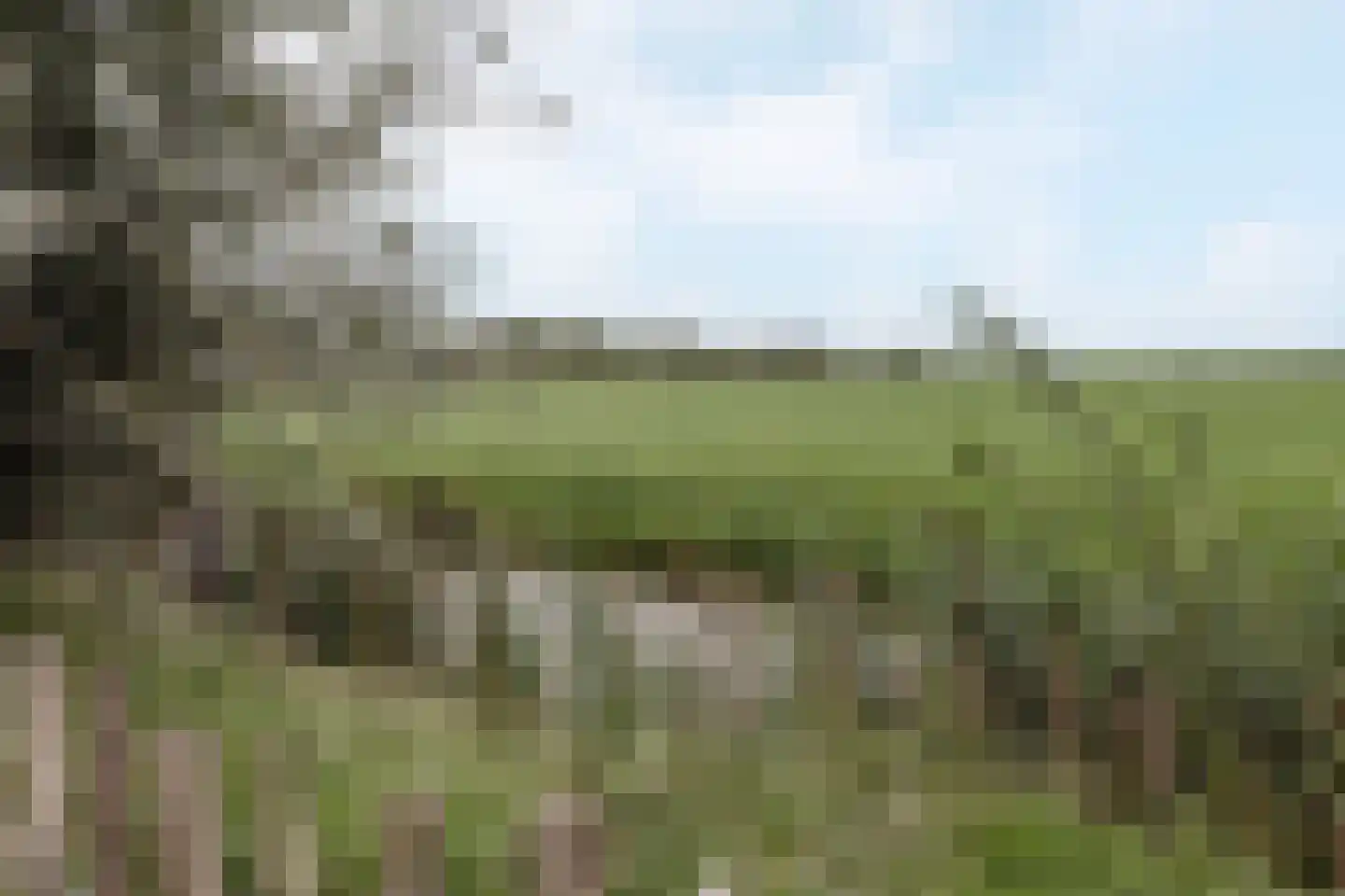 Weijland 4 Spierdijk thumbnail 62