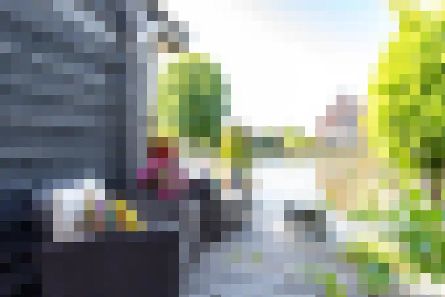 Weijland 48 Nieuwerbrug aan den Rijn thumbnail 55