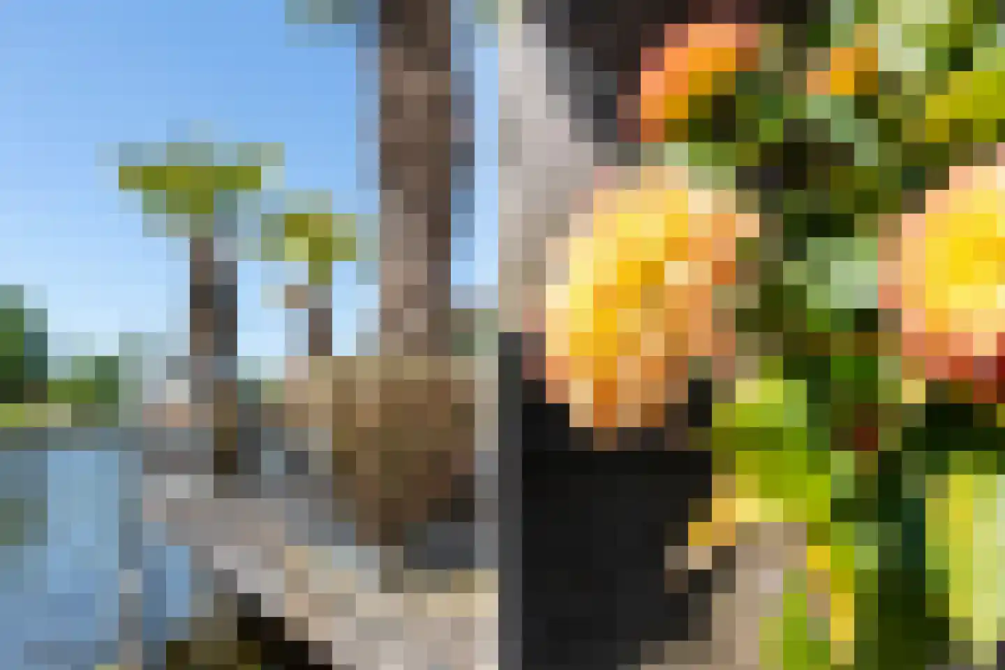 Weijland 48 Nieuwerbrug aan den Rijn thumbnail 81