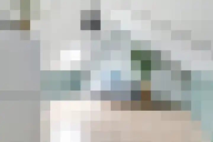 Weijland 5 Spierdijk thumbnail 43