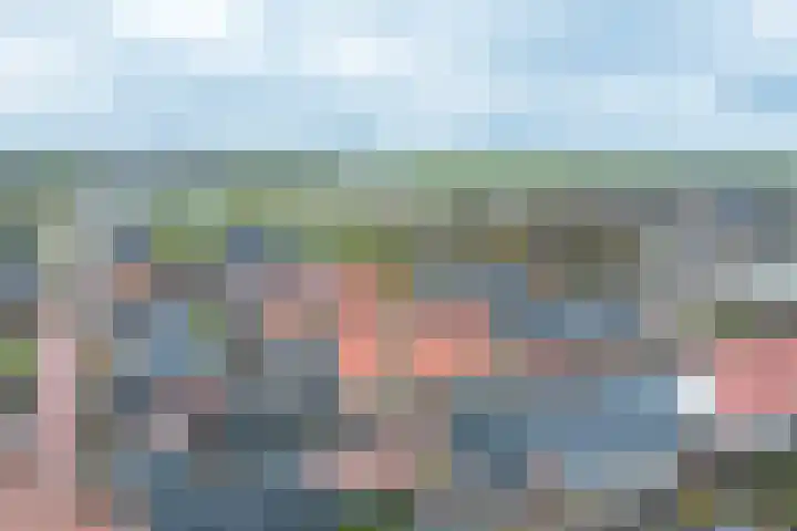 Weijland 5 Spierdijk thumbnail 50