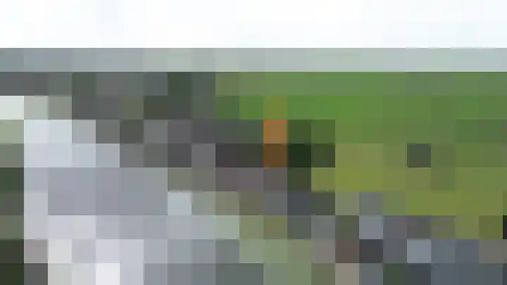 Weijpoort 44 in Nieuwerbrug aan den Rijn