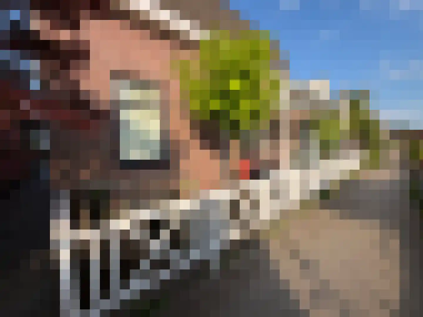 Weijpoort 59 Nieuwerbrug aan den Rijn thumbnail 46