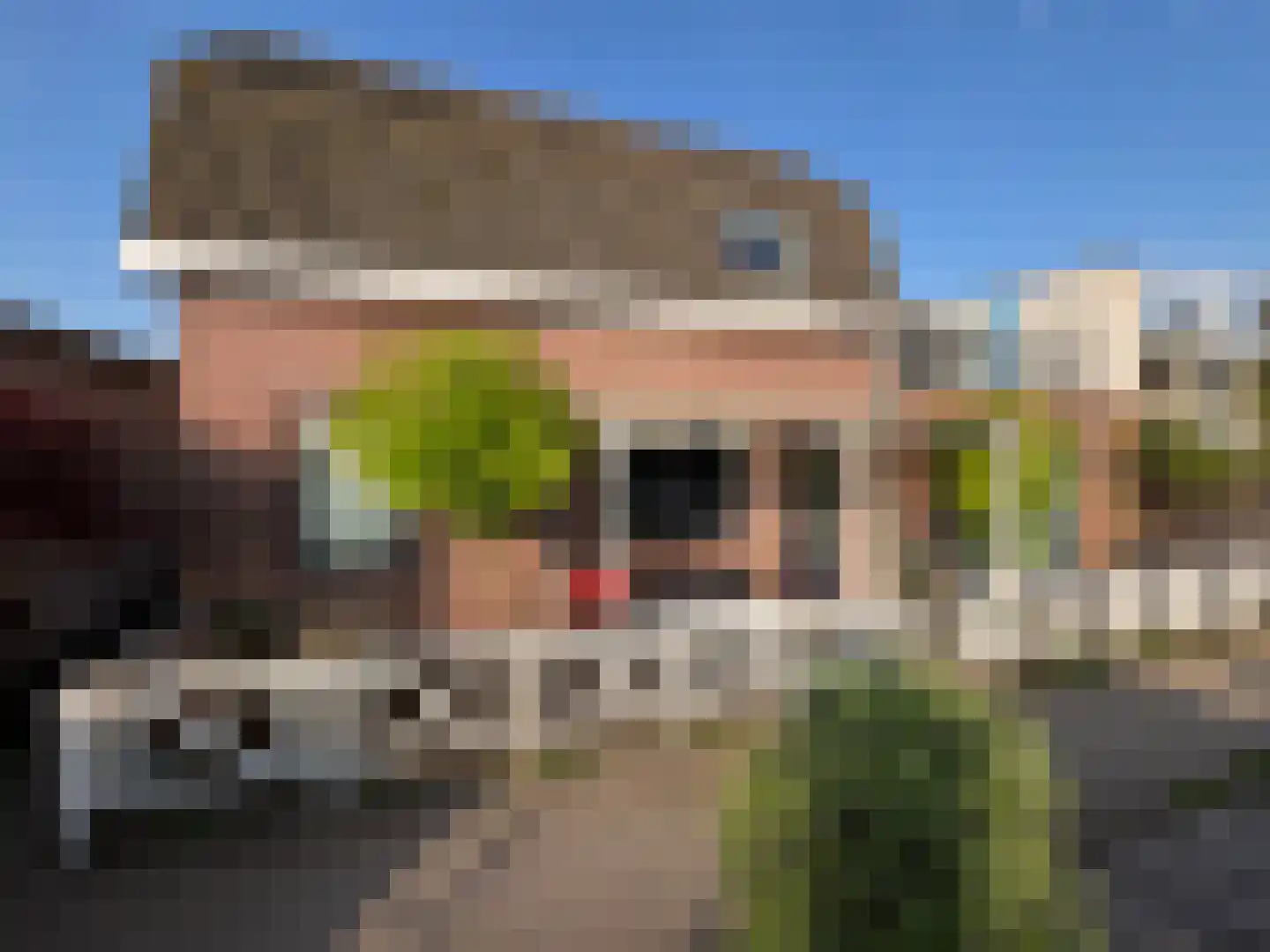 Weijpoort 59 Nieuwerbrug aan den Rijn thumbnail 47
