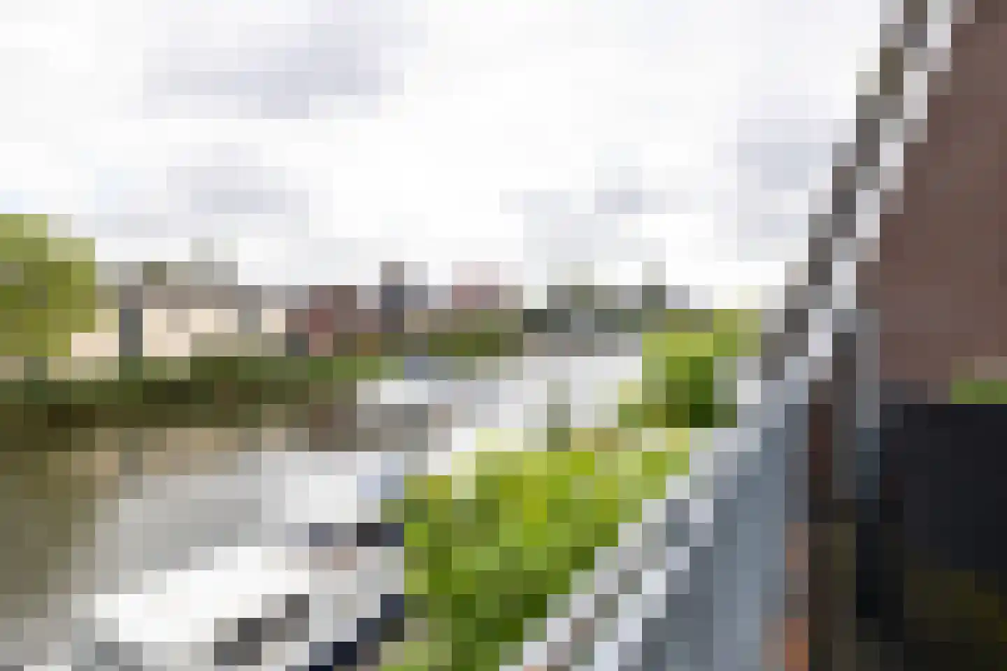 Weijpoort 59 Nieuwerbrug aan den Rijn thumbnail 48
