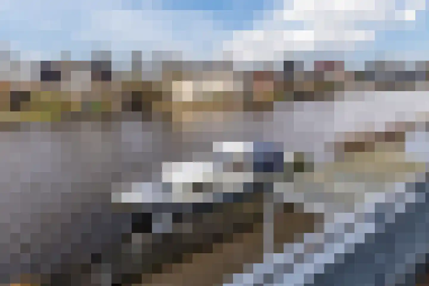 Weijpoort 59 Nieuwerbrug aan den Rijn thumbnail 48