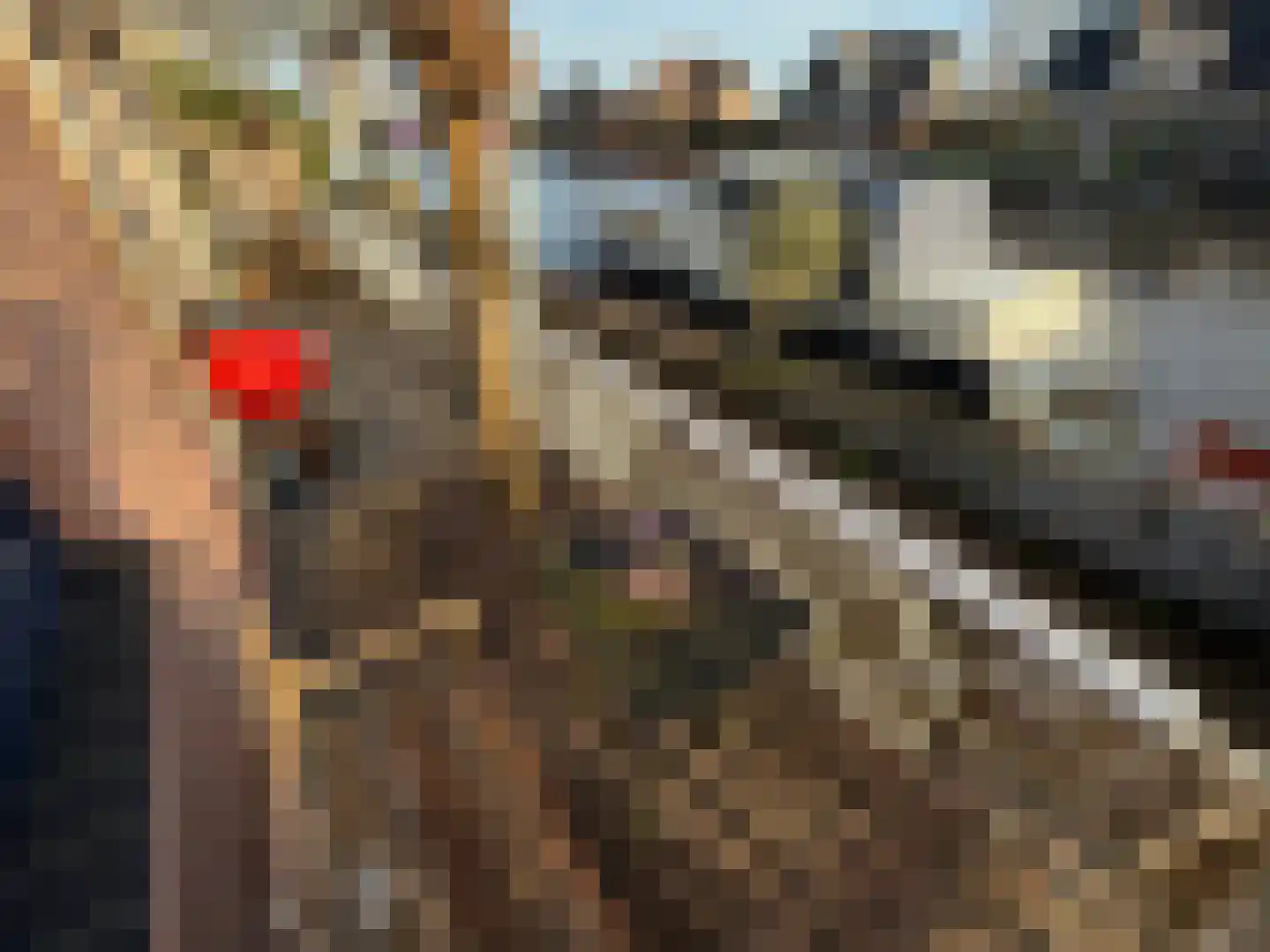 Weijpoort 59 Nieuwerbrug aan den Rijn thumbnail 53