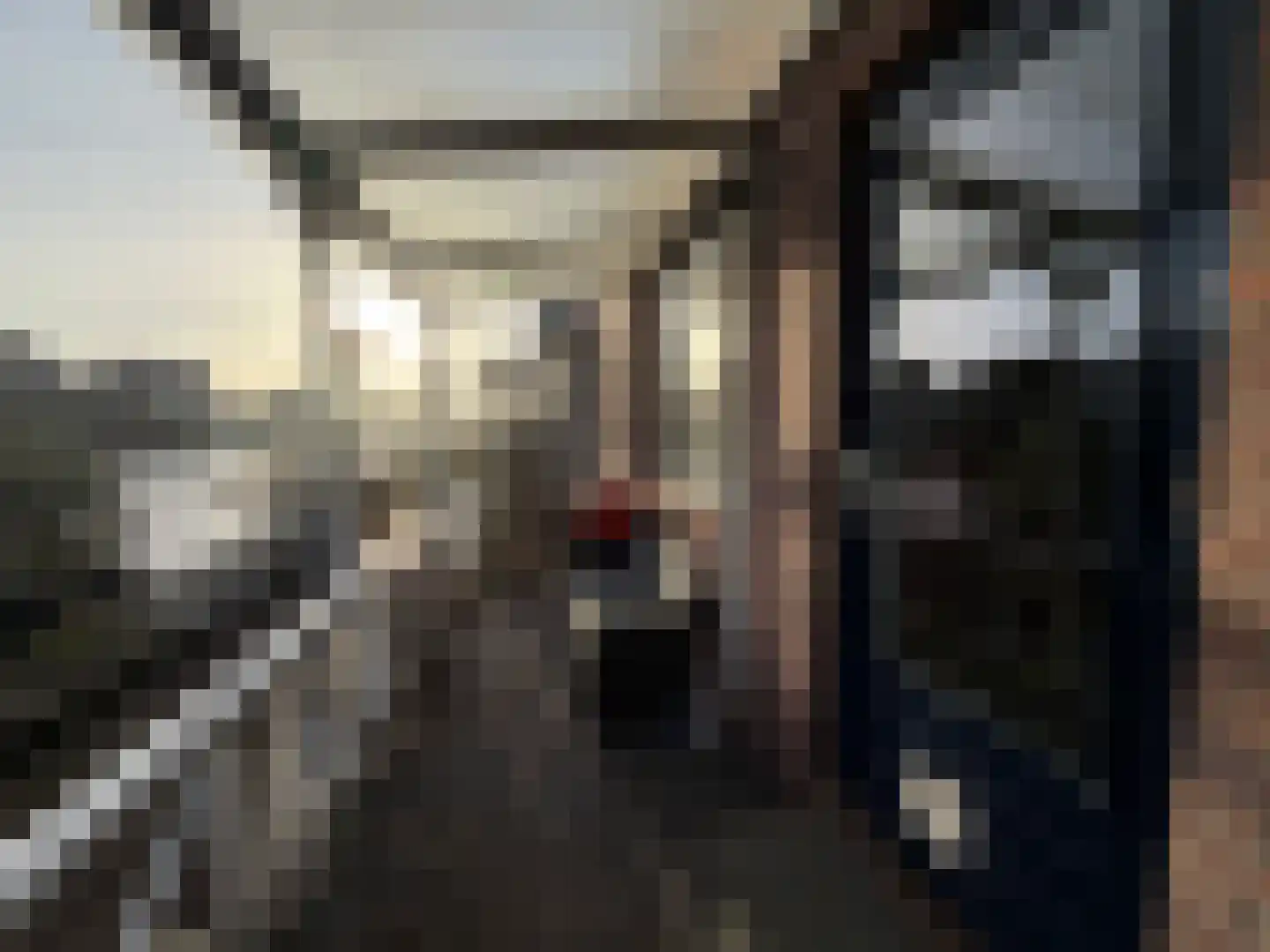 Weijpoort 59 Nieuwerbrug aan den Rijn thumbnail 58
