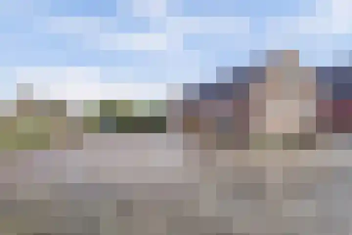 Weijpoort 70 Nieuwerbrug aan den Rijn thumbnail 38