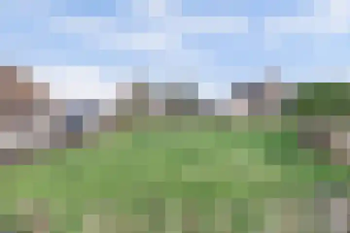 Weijpoort 70 Nieuwerbrug aan den Rijn thumbnail 44