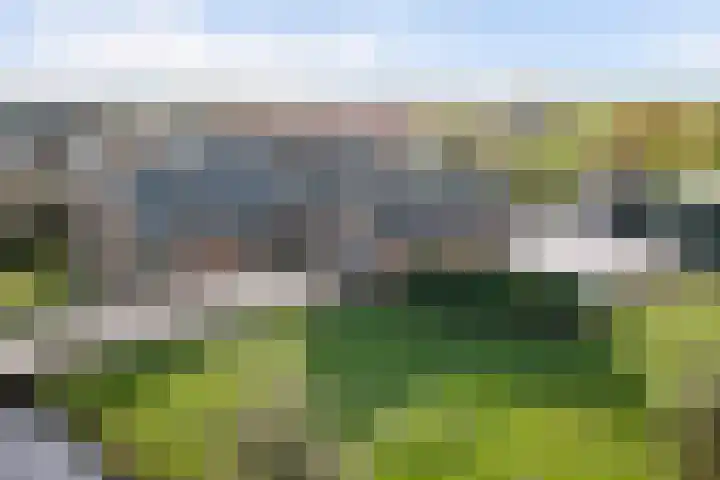 Weijpoort 70 Nieuwerbrug aan den Rijn thumbnail 51