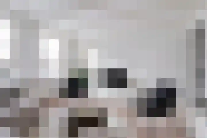 Weijpoort 72 Nieuwerbrug aan den Rijn thumbnail 10