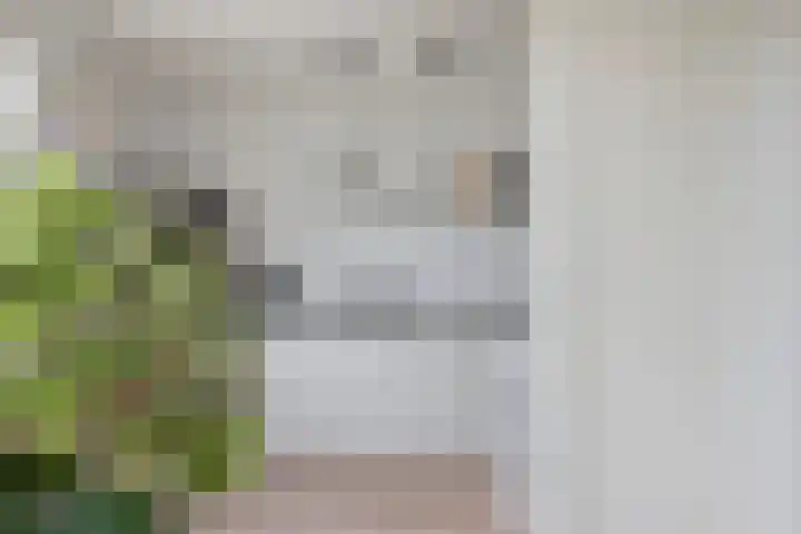Weijpoort 72 Nieuwerbrug aan den Rijn thumbnail 15
