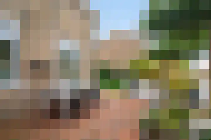 Weijpoort 72 Nieuwerbrug aan den Rijn thumbnail 21