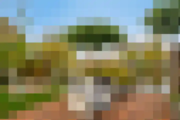Weijpoort 72 Nieuwerbrug aan den Rijn thumbnail 22