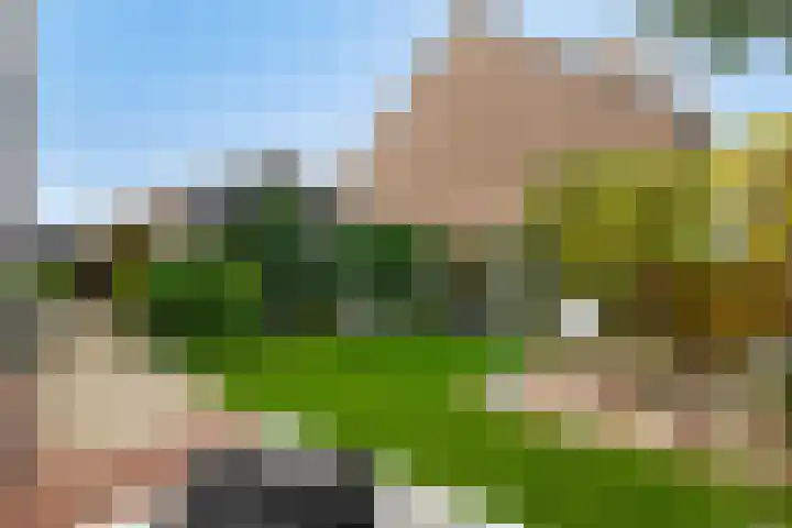Weijpoort 72 Nieuwerbrug aan den Rijn thumbnail 26