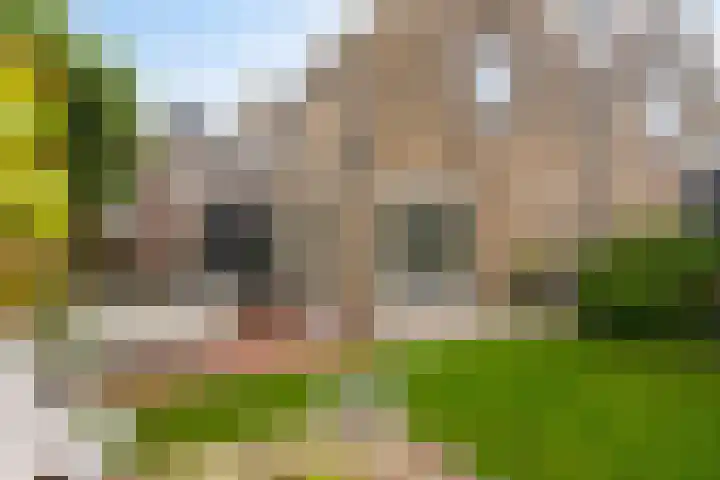 Weijpoort 72 Nieuwerbrug aan den Rijn thumbnail 27