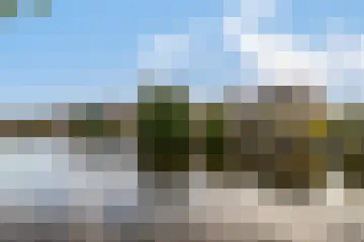 Weijpoort 72 Nieuwerbrug aan den Rijn thumbnail 31