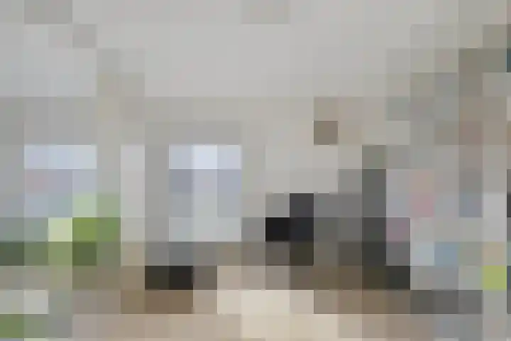 Weijpoort 72 Nieuwerbrug aan den Rijn thumbnail 40