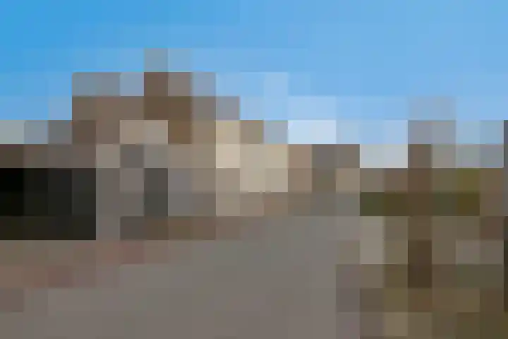 Weijpoort 72 Nieuwerbrug aan den Rijn thumbnail 48
