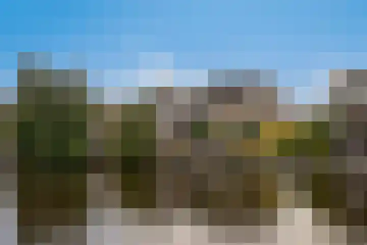 Weijpoort 72 Nieuwerbrug aan den Rijn thumbnail 52