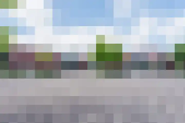 Weijpoort 76 Nieuwerbrug aan den Rijn thumbnail 49
