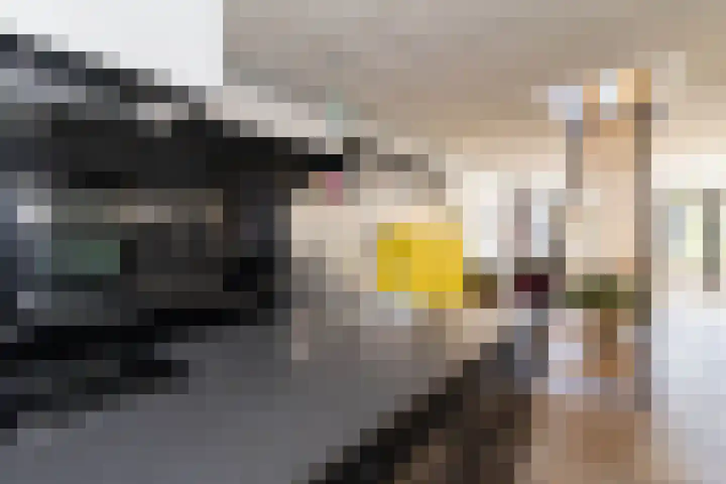 Weikamp 100 Bunschoten-Spakenburg thumbnail 18