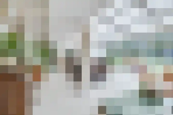 Weikamperweg 120 Hoenderloo thumbnail 10