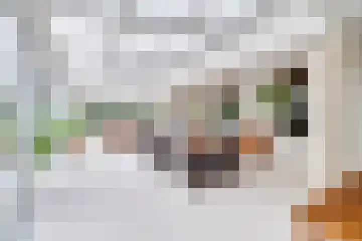 Weikamperweg 120 Hoenderloo thumbnail 13