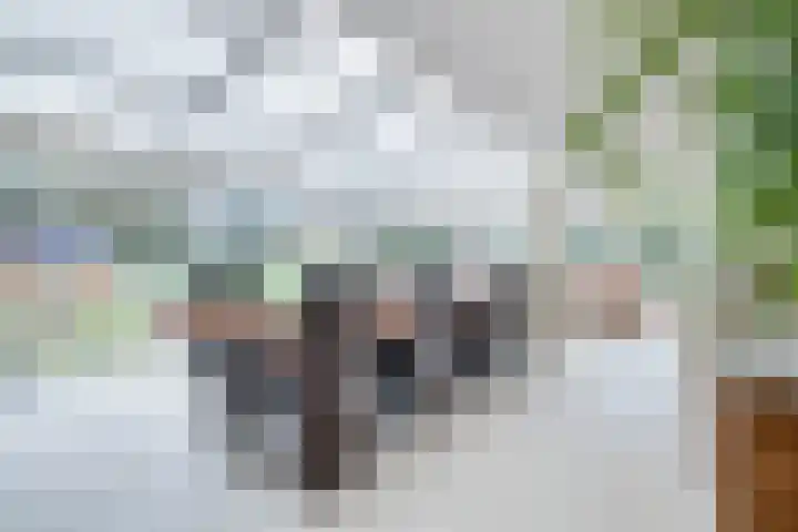 Weikamperweg 120 Hoenderloo thumbnail 14