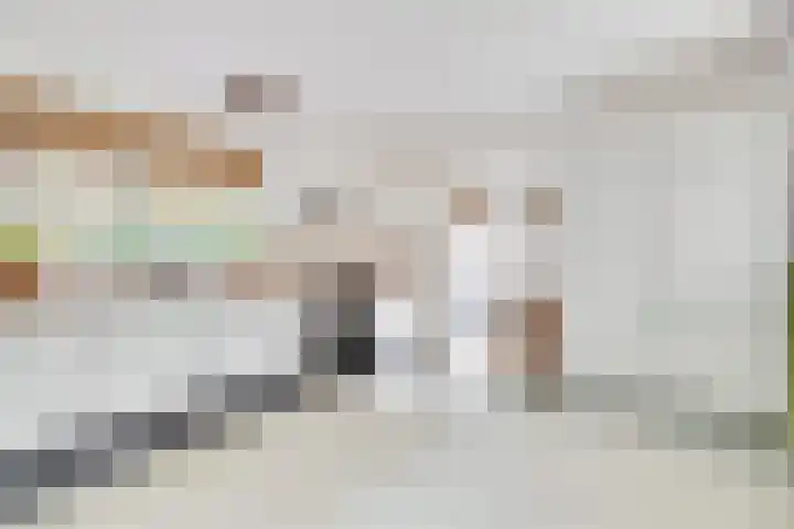 Weikamperweg 120 Hoenderloo thumbnail 17