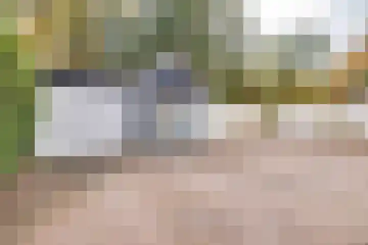 Weikamperweg 120 Hoenderloo thumbnail 45