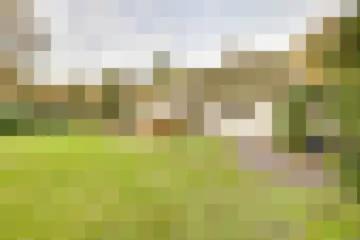 Weikamperweg 120 Hoenderloo thumbnail 61