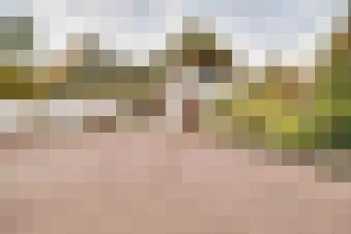 Weikamperweg 120 Hoenderloo thumbnail 69