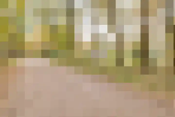 Weikamperweg 120 Hoenderloo thumbnail 71