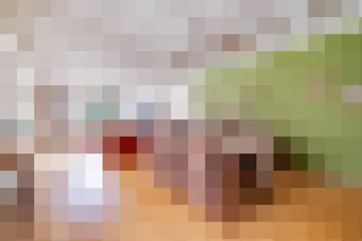 Weikamperweg 120 Hoenderloo thumbnail 8